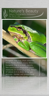 Each photo was additionally described by the author.